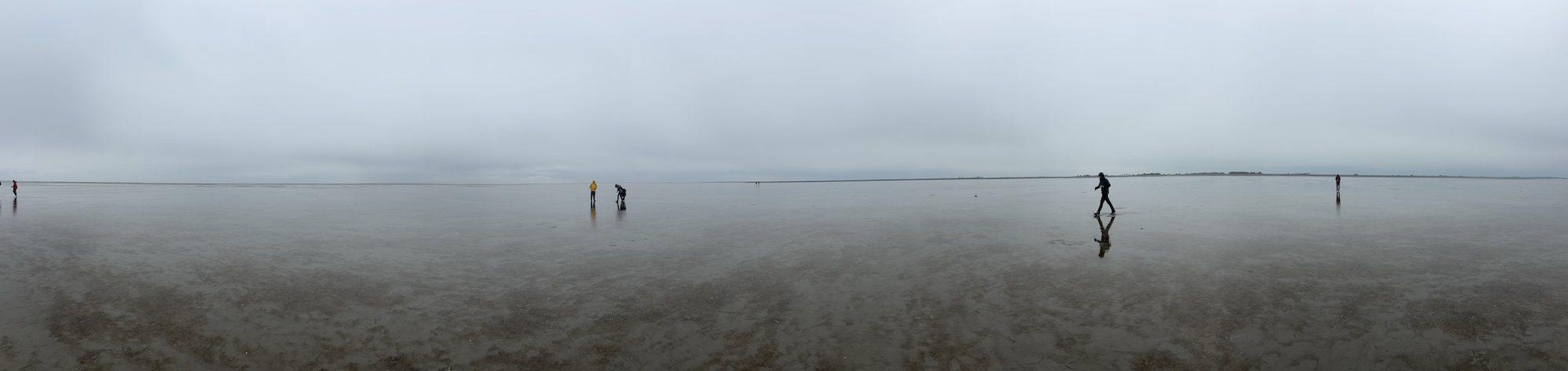 The team deploying the drifters on the mudflats